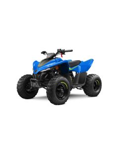 CFMOTO CFORCE 110