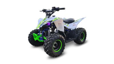 Lasten mönkijä PENTORA 110cc 1+1 Y25